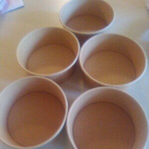 Five disposable food containers